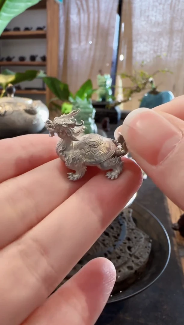 【闪购商品】龙龟茶宠