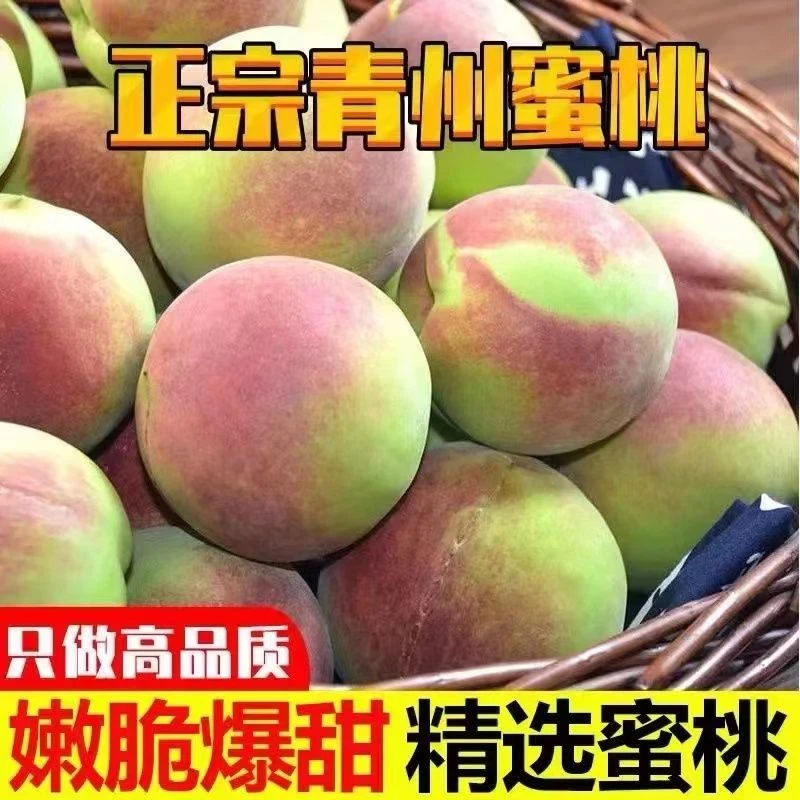 青州蜜桃新鲜脆桃青皮桃子脆甜毛桃非水蜜桃现摘当季包赔