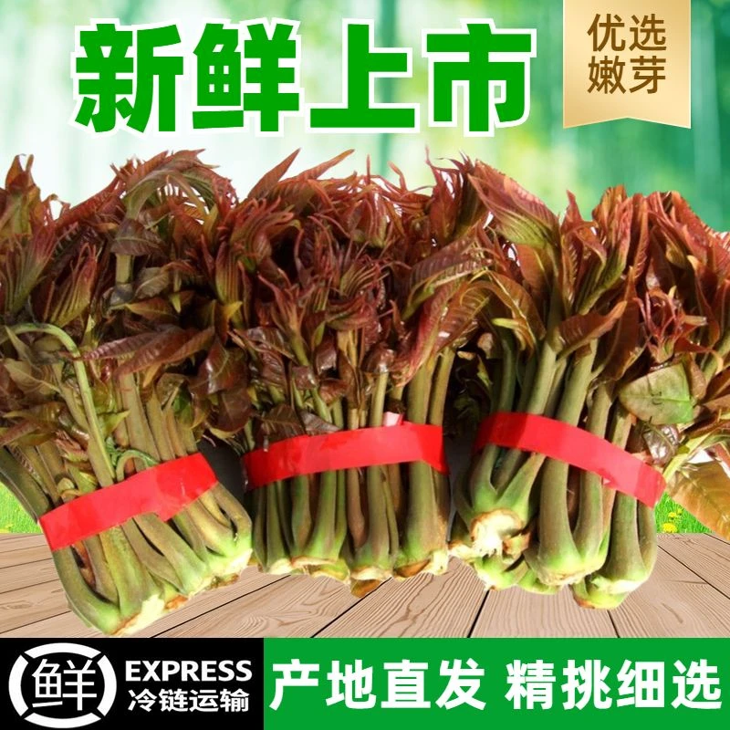 香椿芽新鲜野生头茬乡村嫩芽整箱当季野菜春芽春天菜现货香春