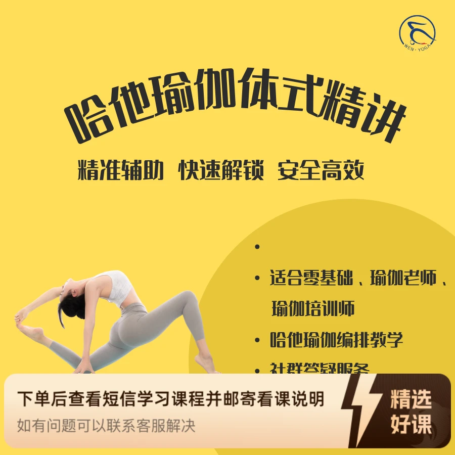 小V老师哈他瑜伽体式辅助手法视频课（留意短信解锁课程）