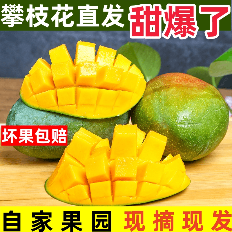 【产地直发】攀枝花凯特芒果果园新鲜水果饱满香甜细腻化渣鲜嫩多汁