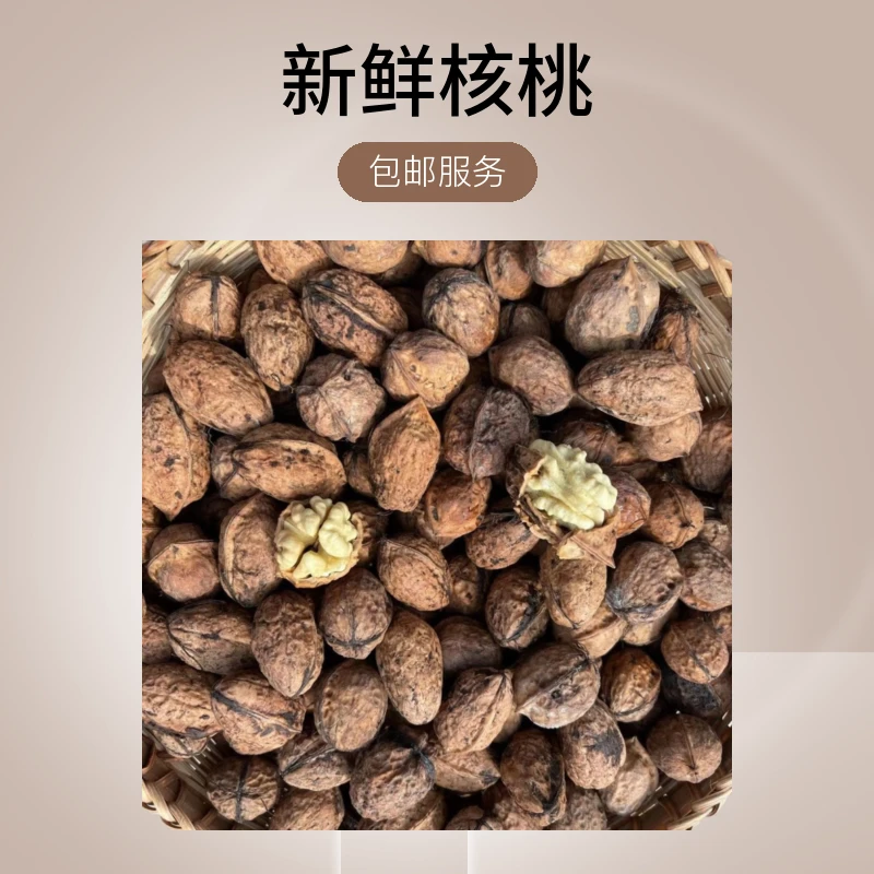 云南镇雄干核桃1500g包邮