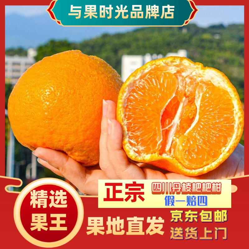 【特级大果耙耙柑】正宗四川丹棱产区多汁水果皮薄香甜新鲜精品直供