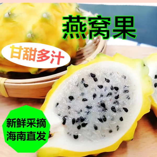 【顺丰包邮】海南麒麟燕窝果新鲜现摘香甜软糯多汁