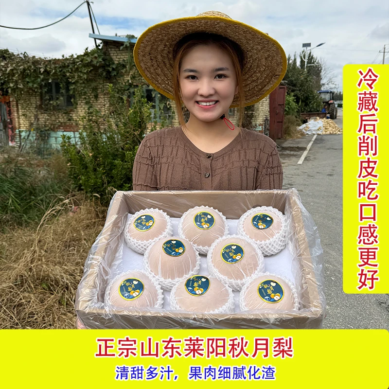 【精品秋月梨】正宗山东莱阳森妹家秋月梨净重4.5-8斤 清甜爽口