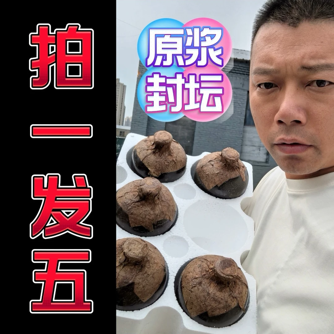 杨教授原浆封坛白酒（发五小坛➕赠250ml试喝）52度～抖音