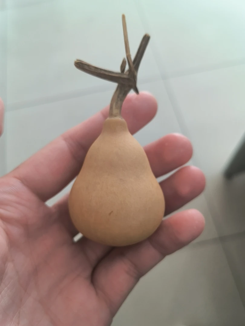 精品小美葫芦，精挑细选出来的小胖墩葫芦