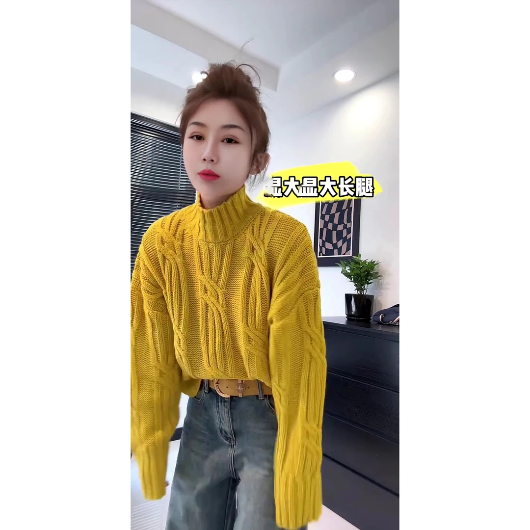 麻花纹路感重工针织立领毛衣欧货轻奢女款净版秋冬高领毛衣