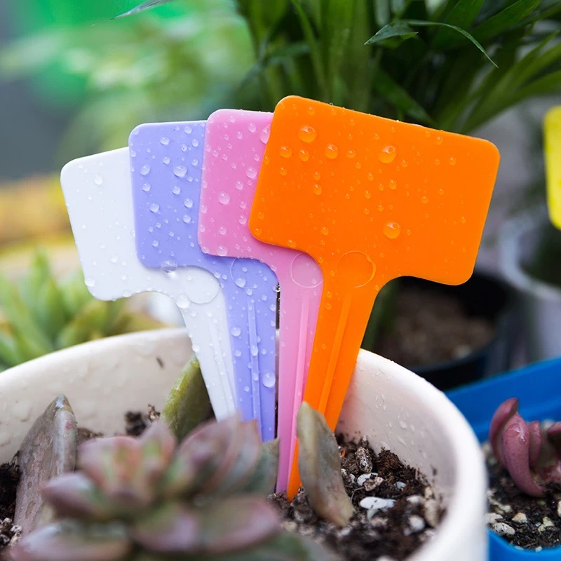 可做运费 【标记牌】花卉 默认发淡蓝色 不可指定颜色