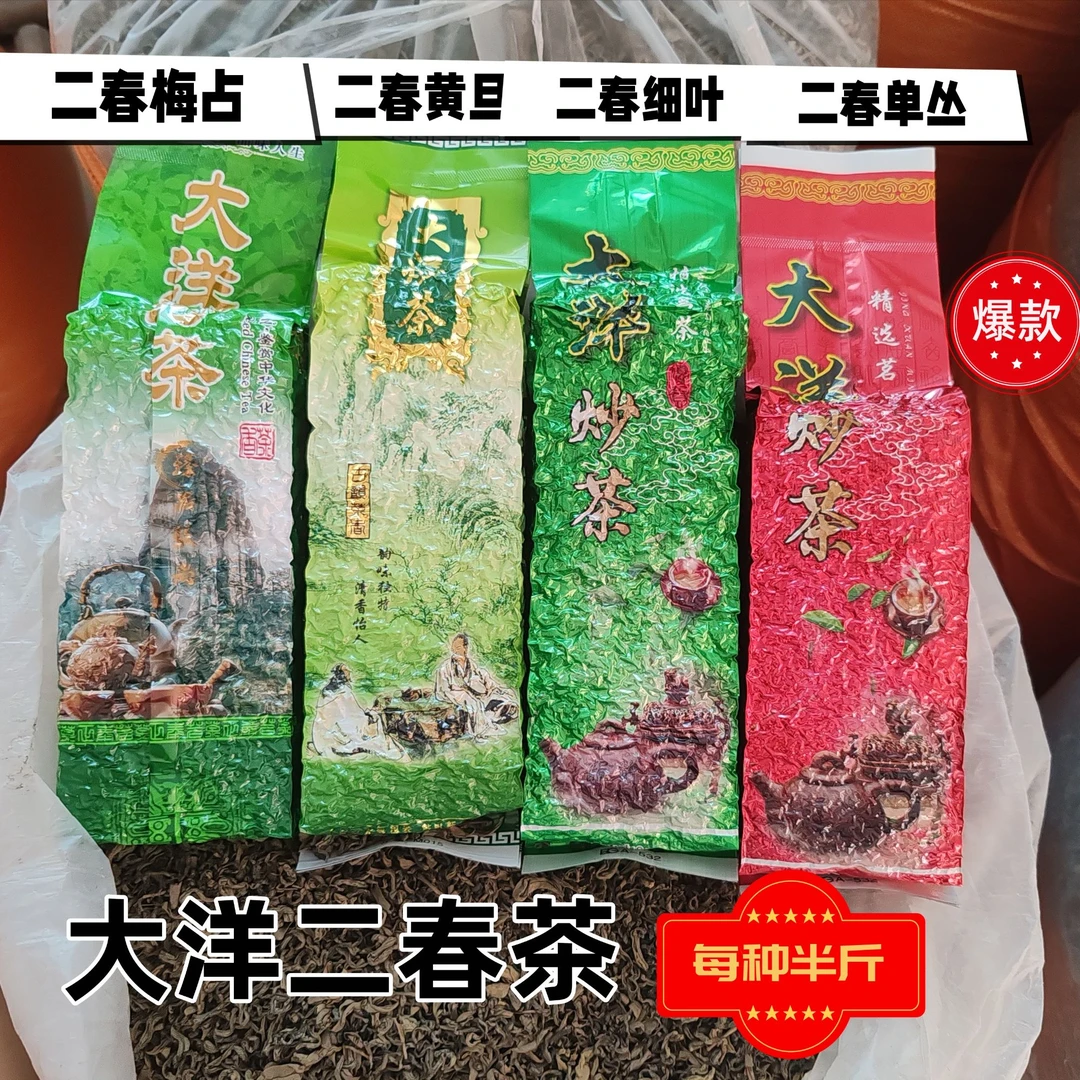 【二春炒茶品鉴系列】揭西炒青绿茶客家炒青绿茶
