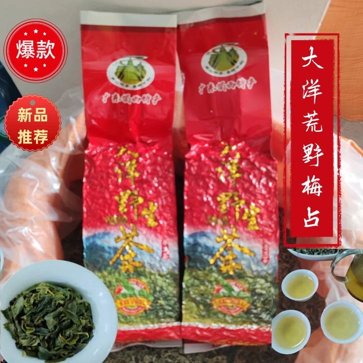 【揭西大洋荒野梅占茶】梅子花香兰花香客家炒青绿茶高山炒茶