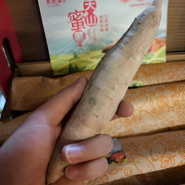 新疆特产黑土地天山蜜薯（5斤/箱）