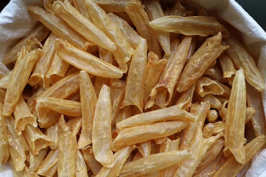 网红黄花筒鱼胶 炖汤焖花胶 100g/250g