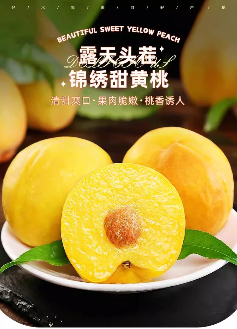 精品当季正宗头茬黄桃露天头茬香甜多汁新鲜农场现摘现发鲜嫩爽口