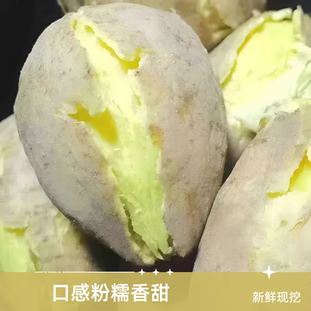 潮汕农家白皮黄心番薯蜜薯现挖现发粉糯面甜新鲜包邮到家板栗薯