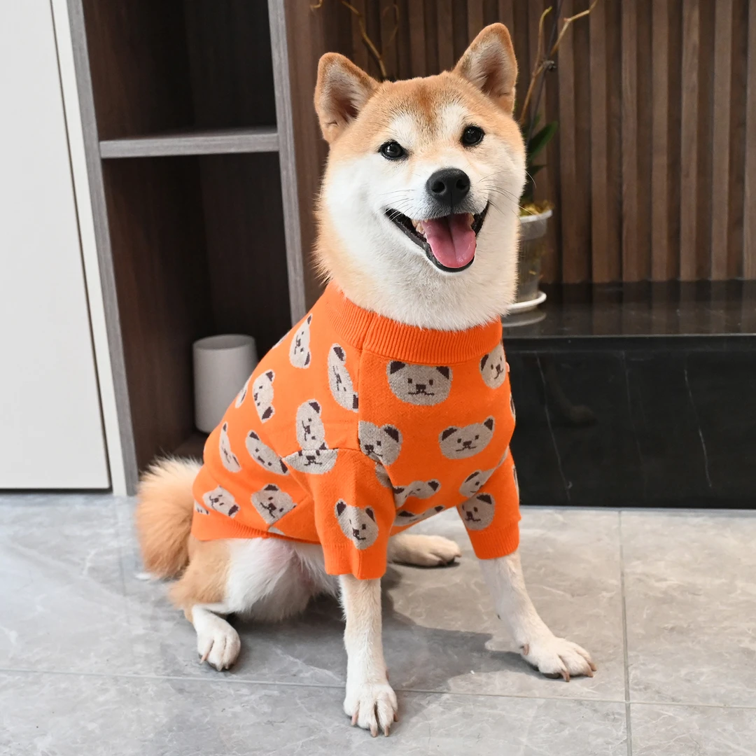 宠物狗狗中小型犬秋冬保暖可爱小熊针织衫泰迪柯基柴犬衣服毛衣