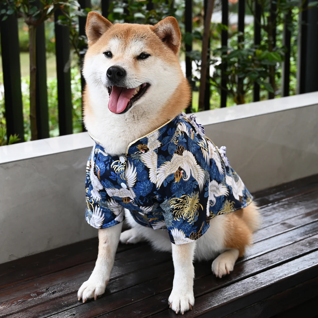 芮柴 复古国风宠物狗狗中小型犬柯基泰迪柴犬衣服汉服装唐装春夏