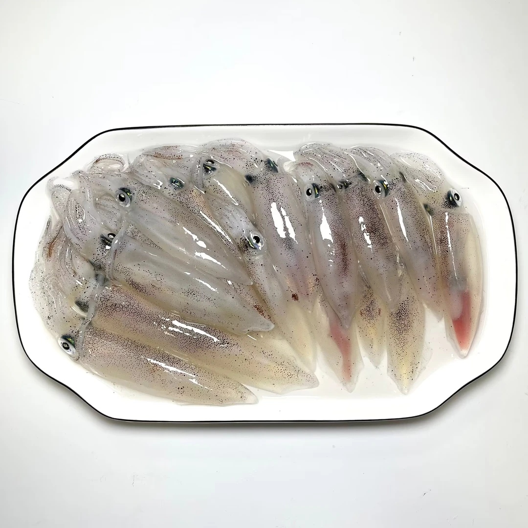 汕尾碣石本港鲜鱿鱼鲜尼仔小管灯照小鱿鱼活管350g/3盒