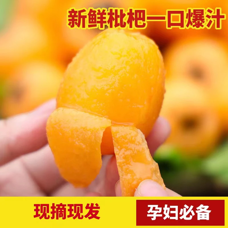 【严选品质】正宗云南蒙自长虹枇杷果树上现摘当季多汁新鲜水果1斤