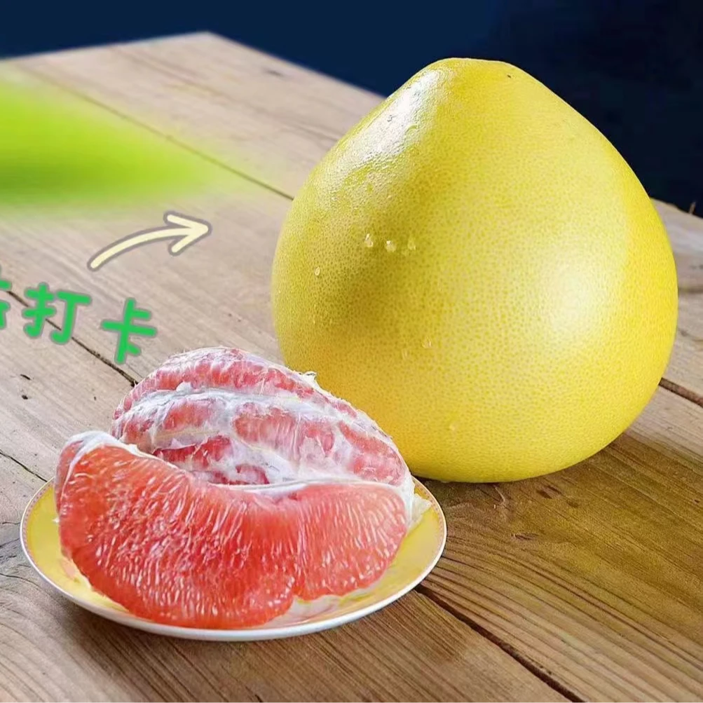老树三红柚子 皮薄肉厚汁水多孕妈妈新鲜水果甜蜜酸甜可口