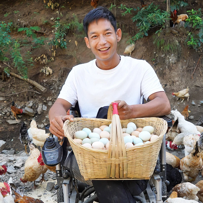 爬行娃高山散养土鸡蛋30枚/50枚/100枚
