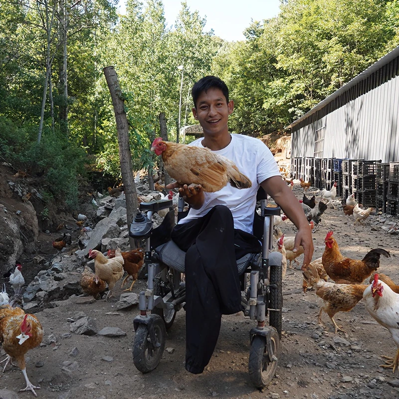 洛阳嵩县爬行娃高山散养真空包装现杀新鲜老母鸡