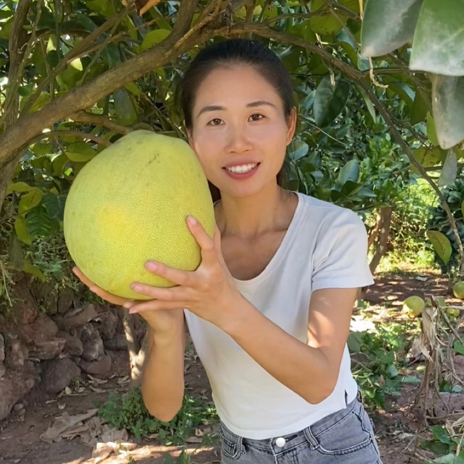 四川本地老品种柚子蜜柚白心蜜柚酸甜多汁新鲜柚子现发脆香甜蜜柚