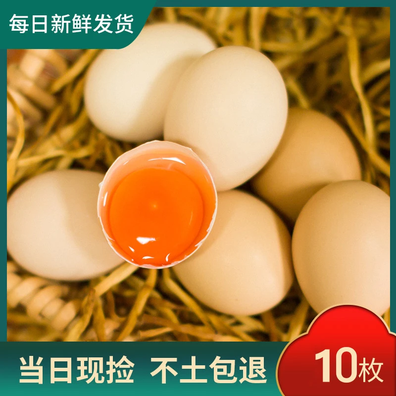 粉壳土鸡蛋一箱