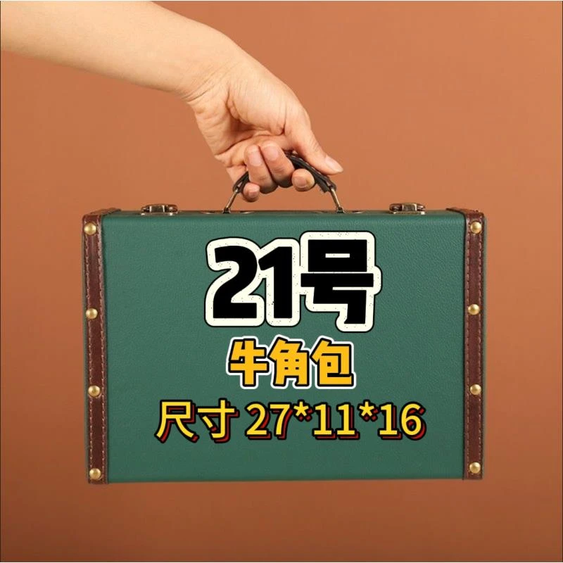 【21号】2024新款牛角斜挎腋下包