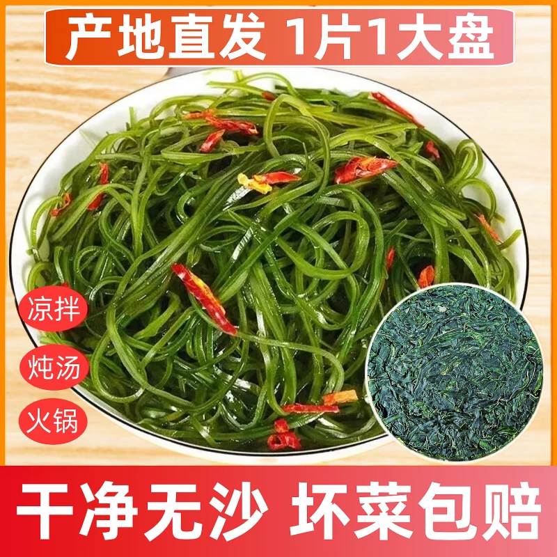 【福利品10片】压缩海带丝零添加无盐无沙