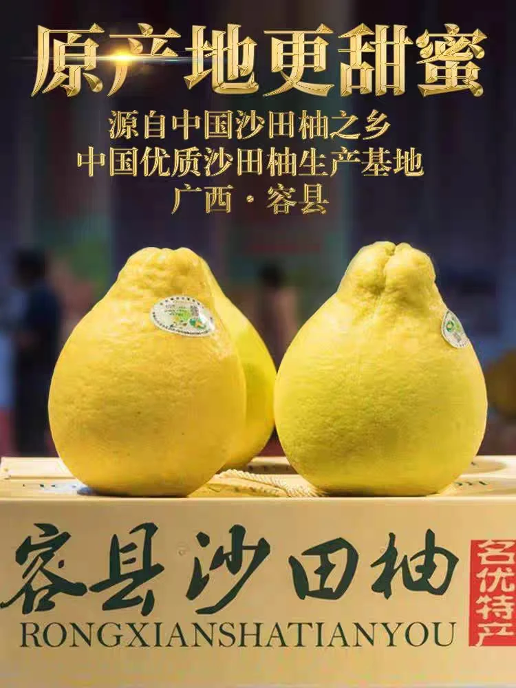 正宗容县沙田柚（花皮果/大头果）2个4.5-5斤