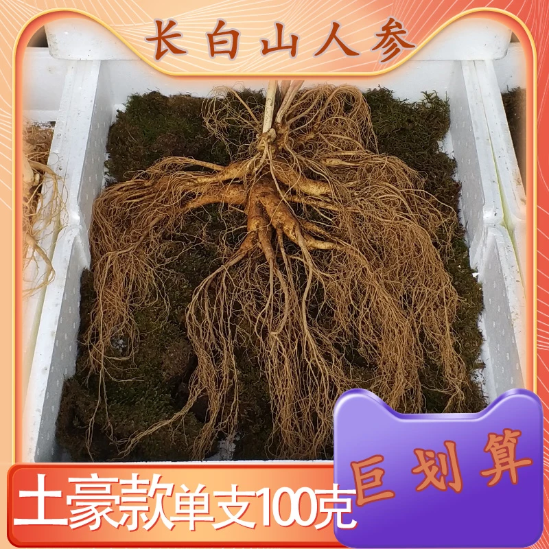 【土豪特大款】长白山鲜人参单支450克现挖现卖坏烂包赔