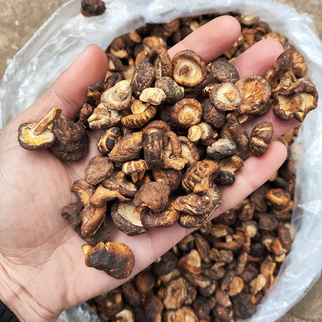 【小香菇】农家好物推荐