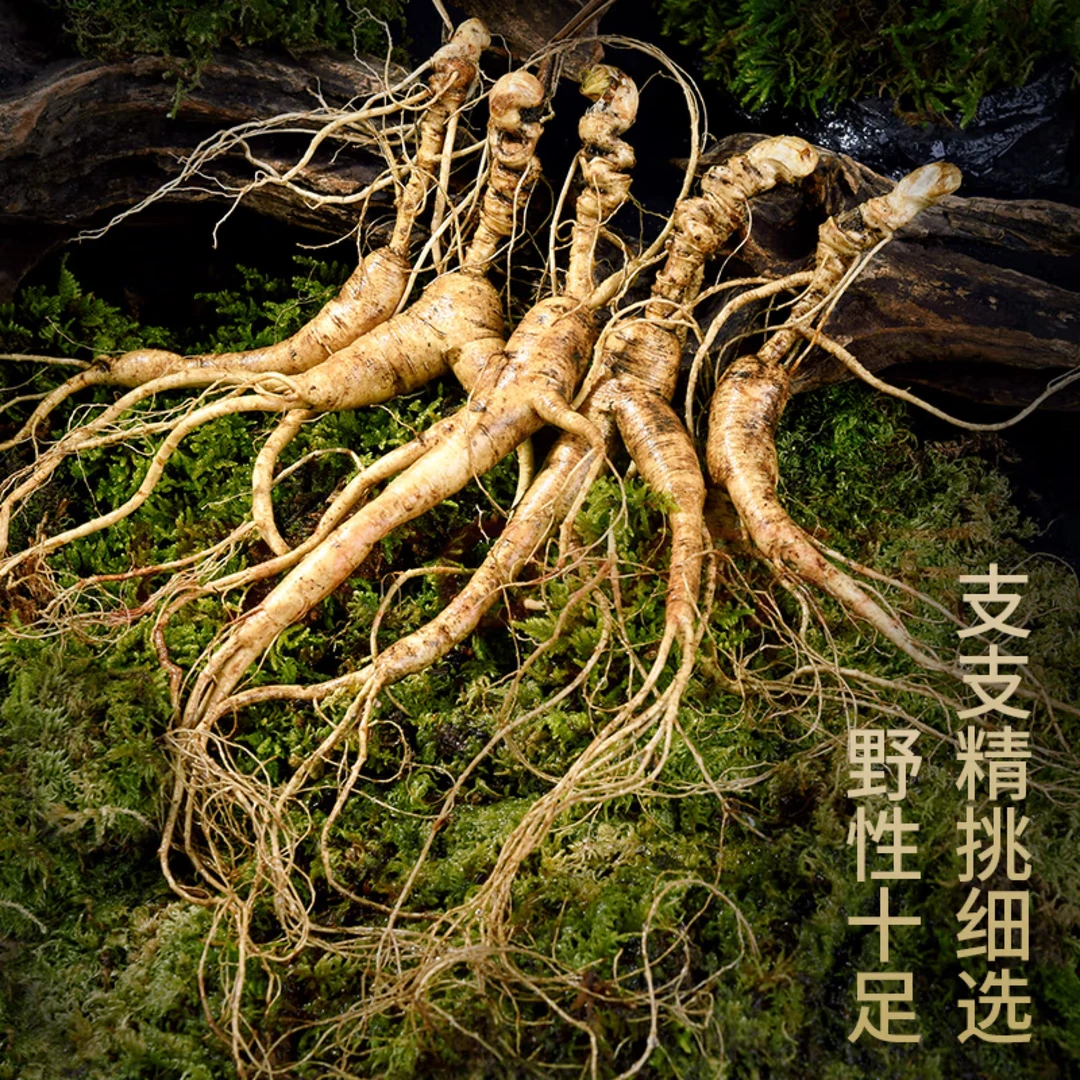 ④店专属长白山现挖带土人参果肉洁白  送种子新鲜顺丰空运包邮