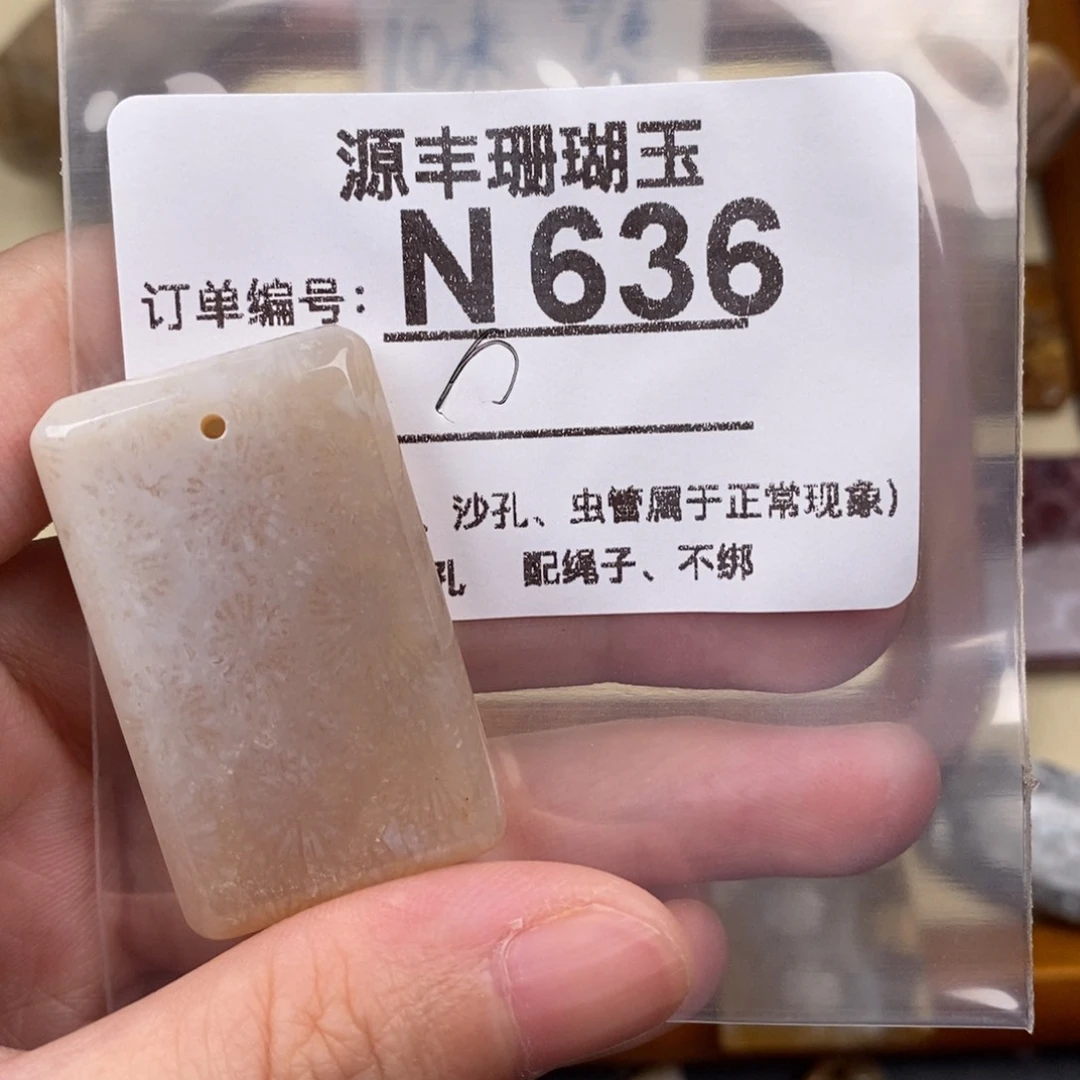 硅化玉颈饰未镶嵌?****n