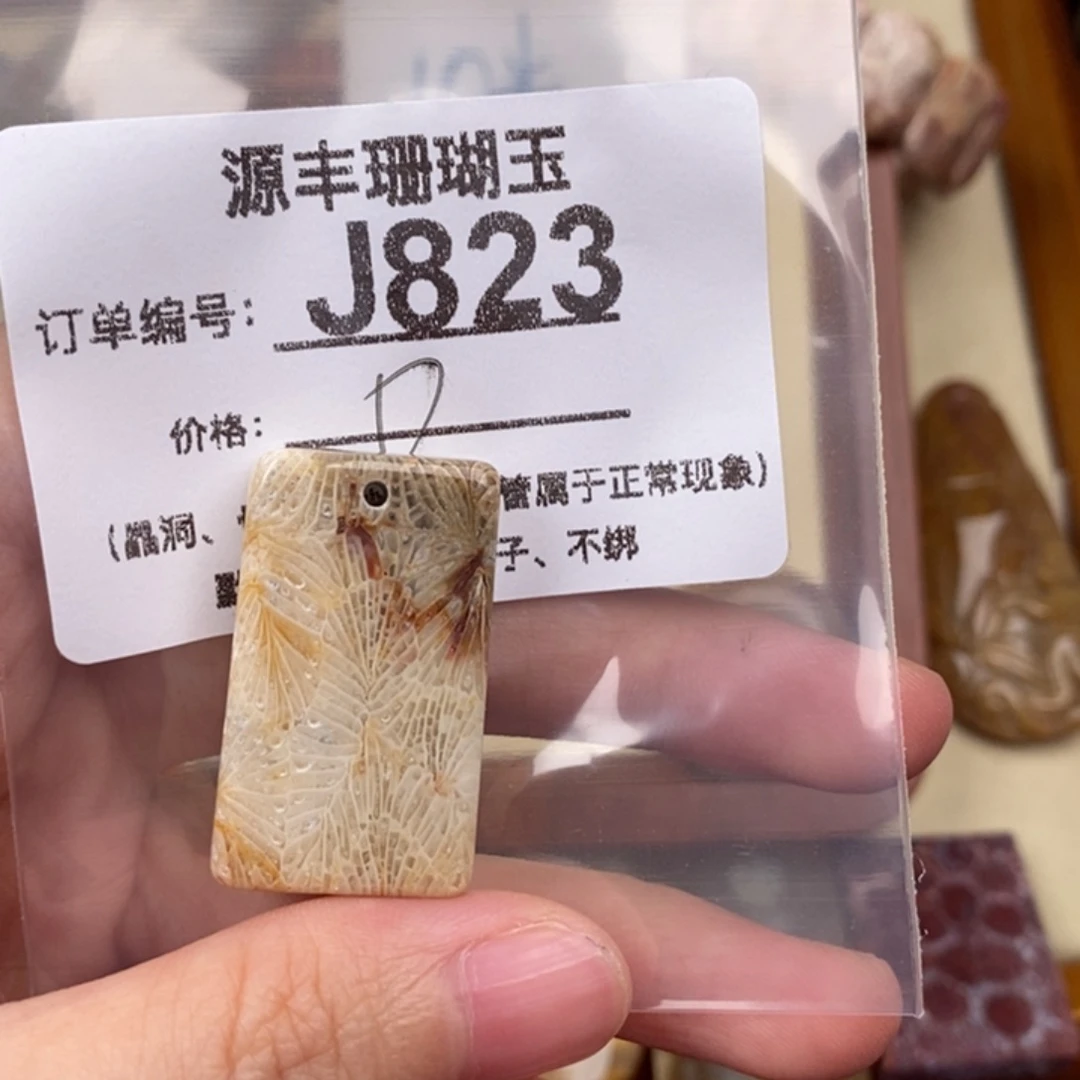 硅化玉颈饰未镶嵌惠*遥