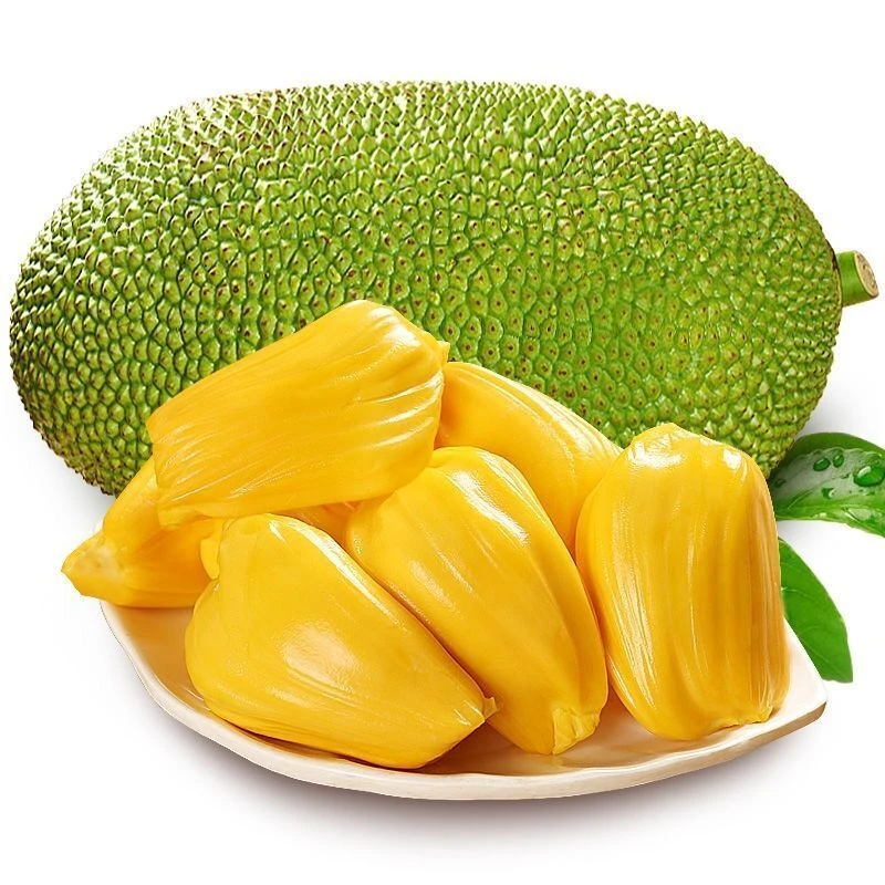 菠萝蜜