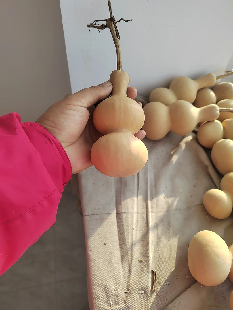 直播间选购拍品，手把葫芦