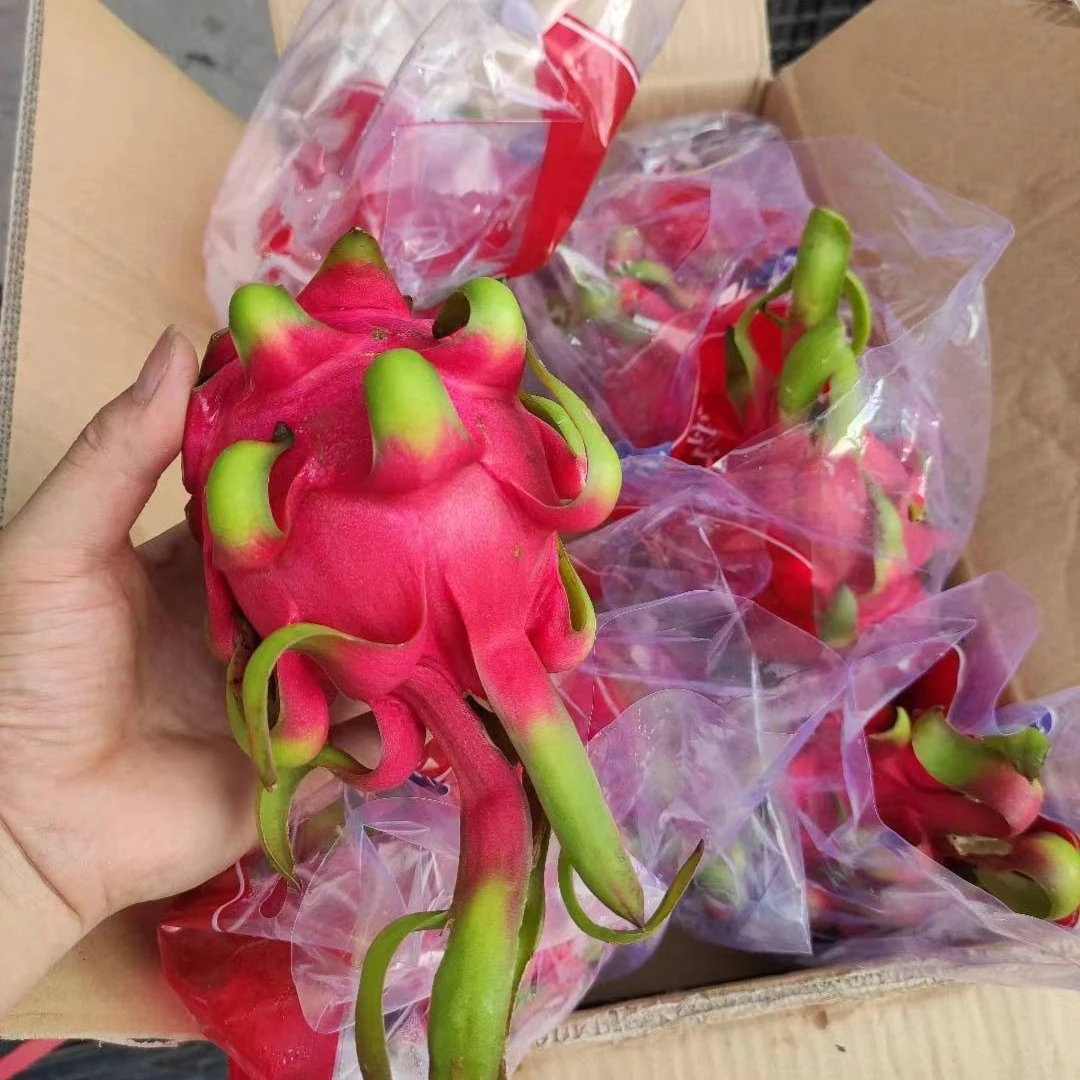 【红心火龙果】大果约750g越南进口又大又红皮薄肉甜
