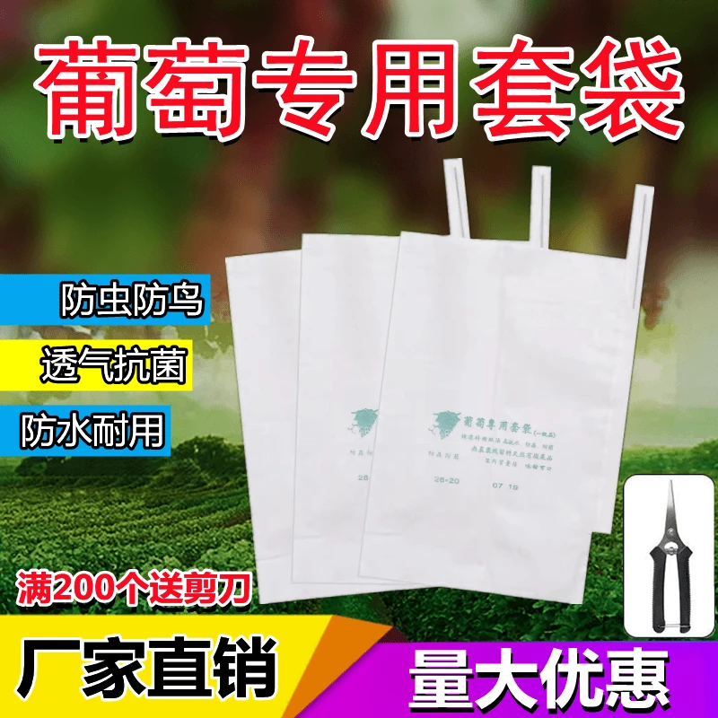 葡萄袋套袋专用纸袋水果袋防雨防虫透气套袋防鸟莲雾保护半透明袋