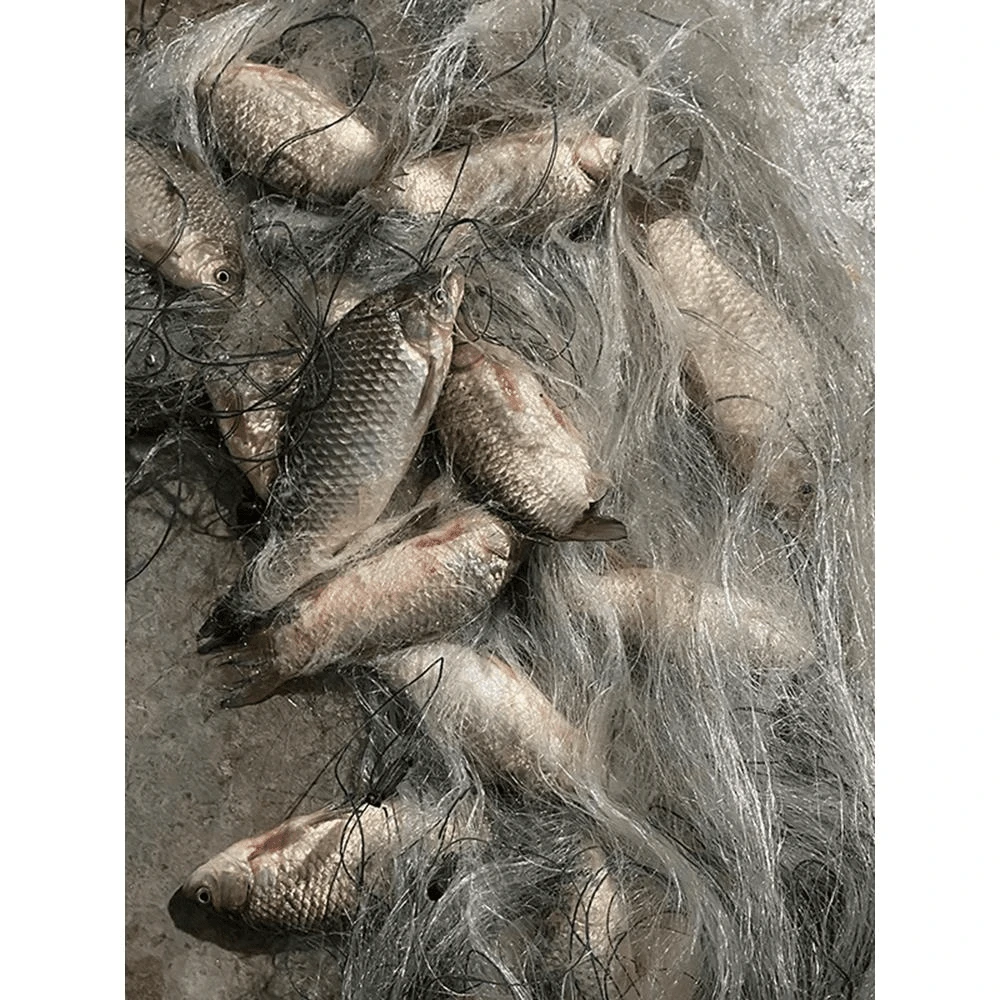 进口软丝1.5米2米3米高100米沉网粘网丝网鲫鱼网三层捕鱼网2到8指