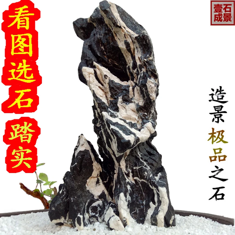 青龙石酸洗大块独立成景鱼缸装饰天然奇石看图挑选造景优选发货