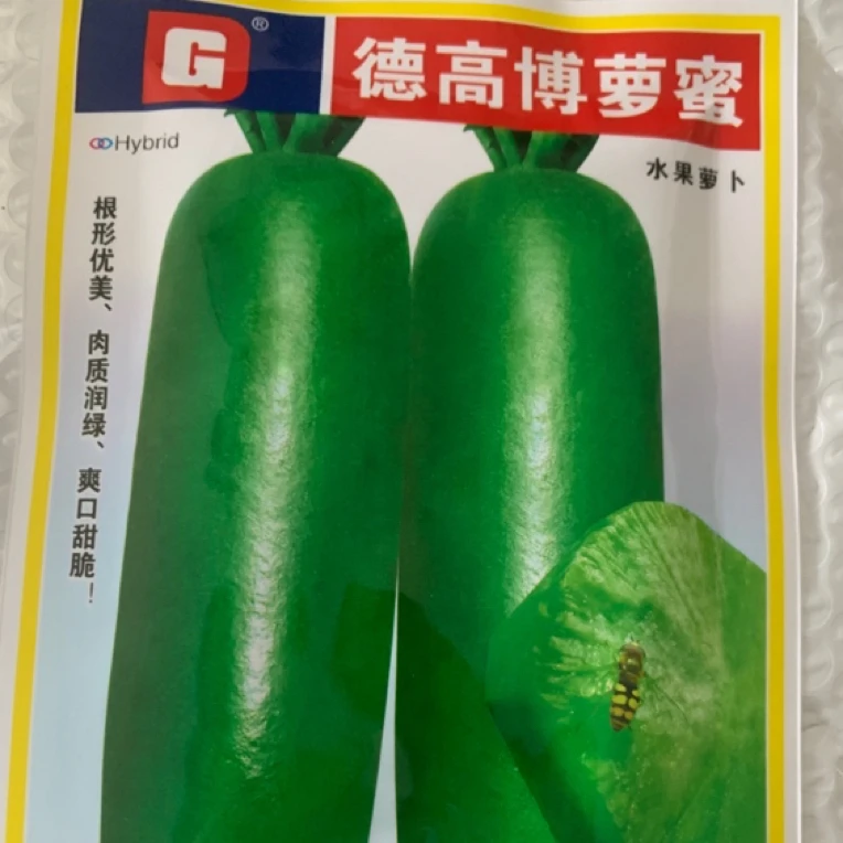 甜脆萝卜种子潍县萝卜种籽四季沙窝水果萝卜种子青萝卜种子
