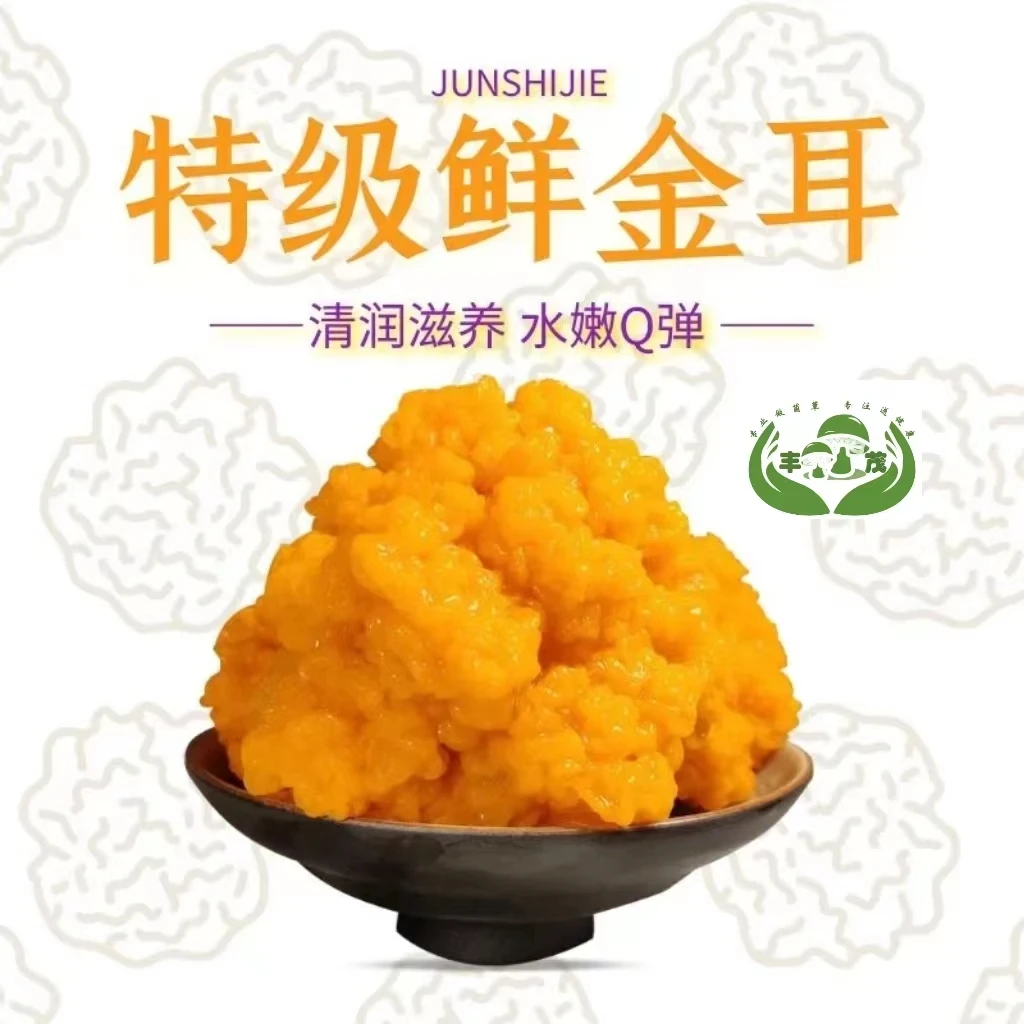 新鲜黄金耳滋补养生佳品胶原蛋白满体滋润心肺产地直发纯净种植