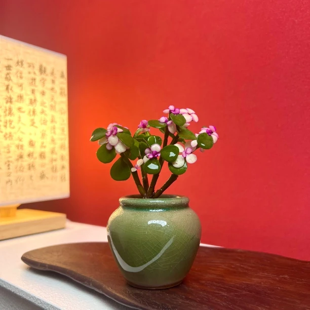 【植言】雅乐之舞室内好养精致盆栽金枝玉叶绿植