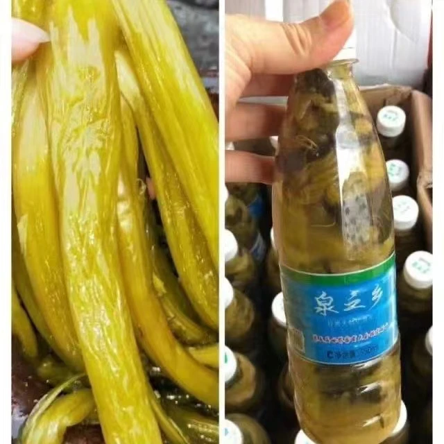梅州客家特产大埔农家自制食用水咸菜老坛酸菜