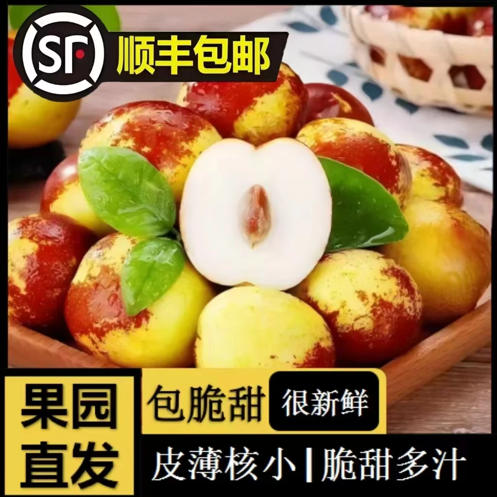 【粉丝福利】顺丰包邮 庙上冬枣3斤彩箱新鲜应季水果皮薄肉厚脆甜
