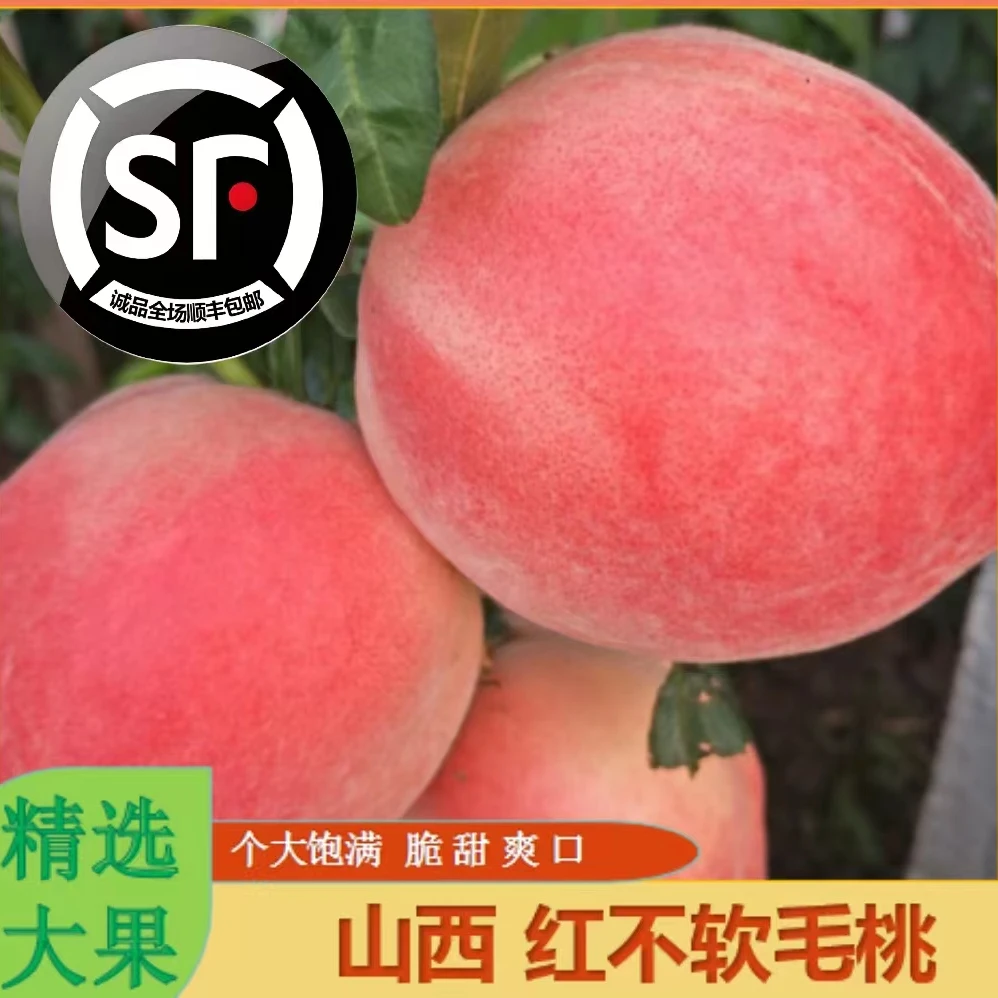 【顺丰包邮】山西运城三晋嘉果精品毛桃新鲜应季水果香甜多汁7-9个