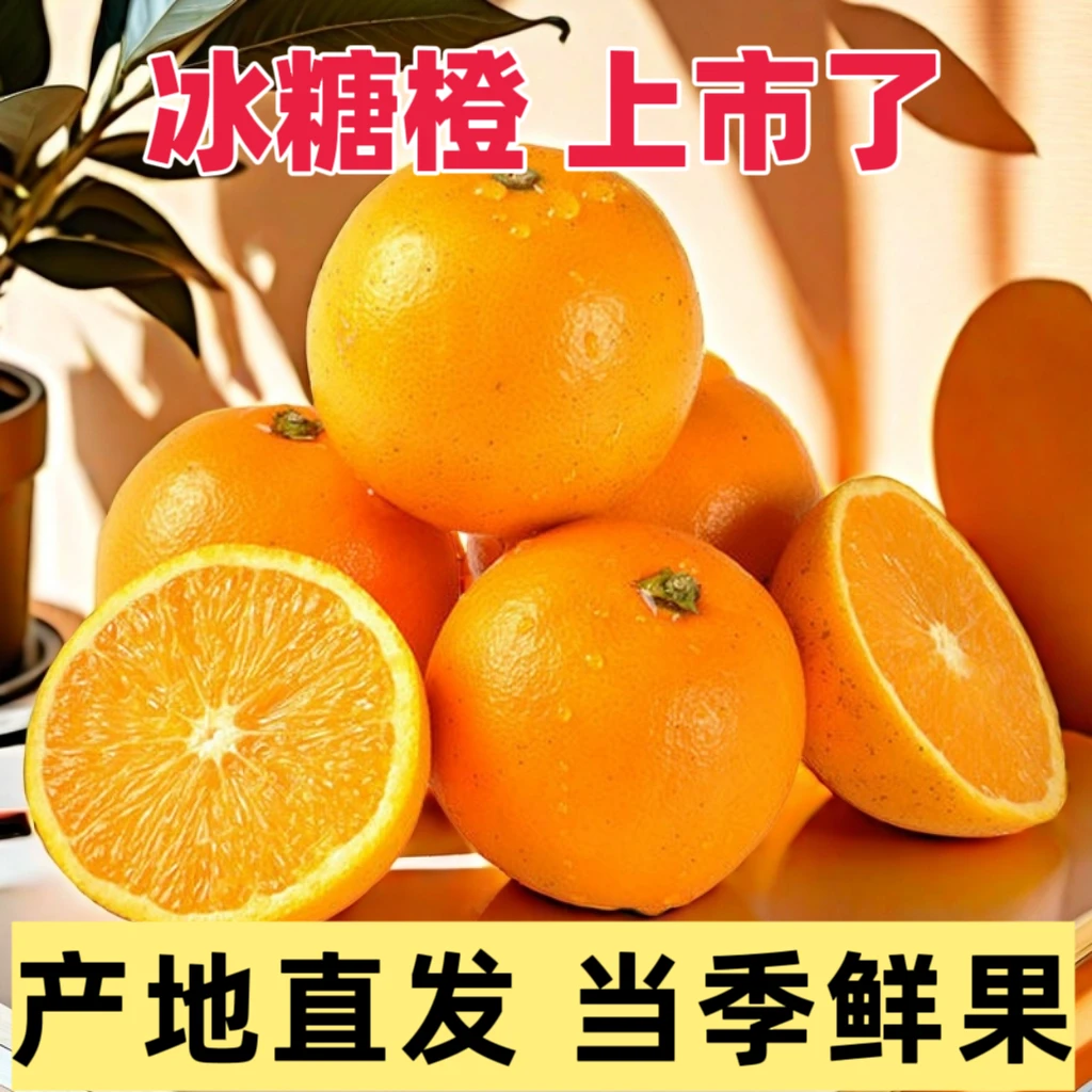 湖南麻阳冰糖橙正宗高山冰糖橙拍3斤送2斤精品果5斤装香甜可口