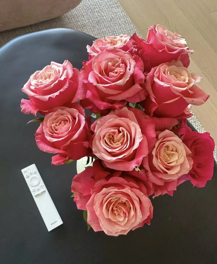 闺蜜 切花 大花 灌木 月季小苗